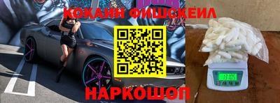 индика Ставрополь