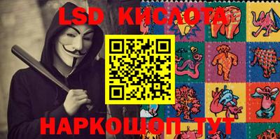 индика Ставрополь