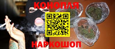 индика Ставрополь