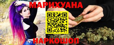 индика Ставрополь