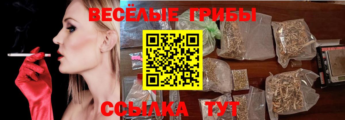 Галлюциногенные грибы Psilocybine cubensis Набережные Челны